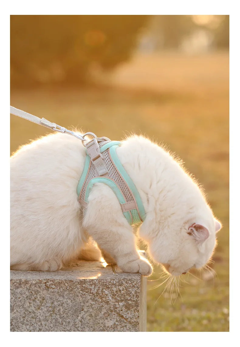 Reflective & Breathable Adjustable Pet Harness Vest with Leash Set