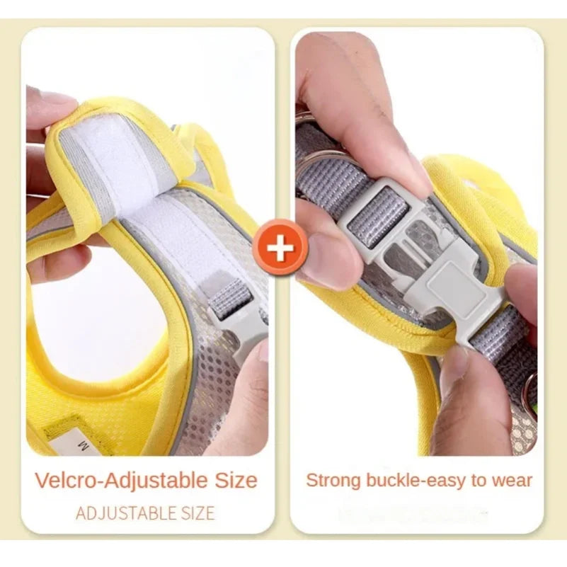 Reflective & Breathable Adjustable Pet Harness Vest with Leash Set