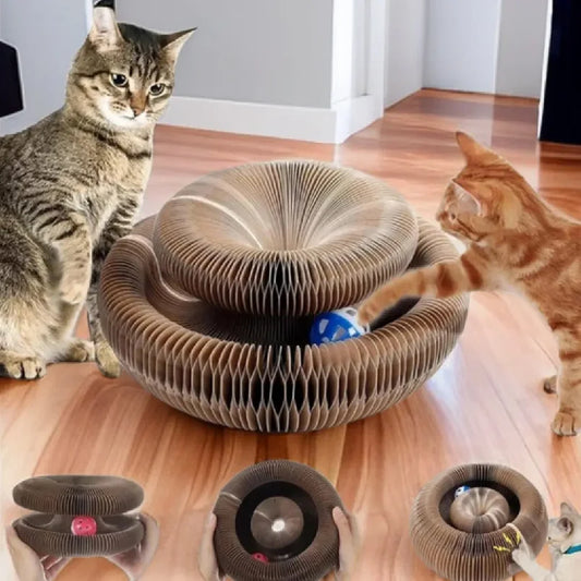 Foldable Magic Organ Cat Scratching Board & Interactive Toy