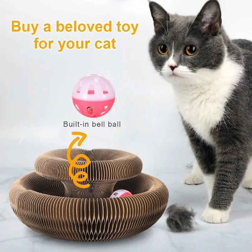 Foldable Magic Organ Cat Scratching Board & Interactive Toy