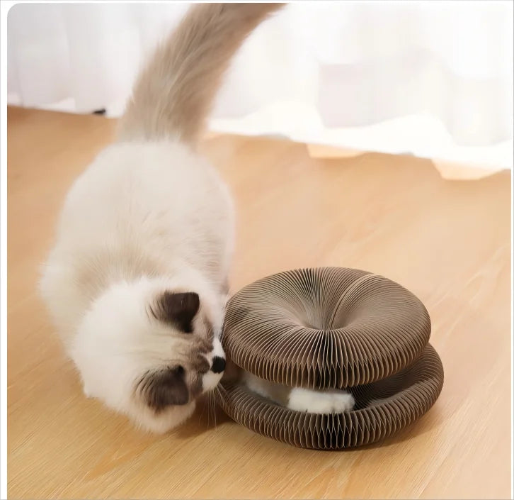 Foldable Magic Organ Cat Scratching Board & Interactive Toy