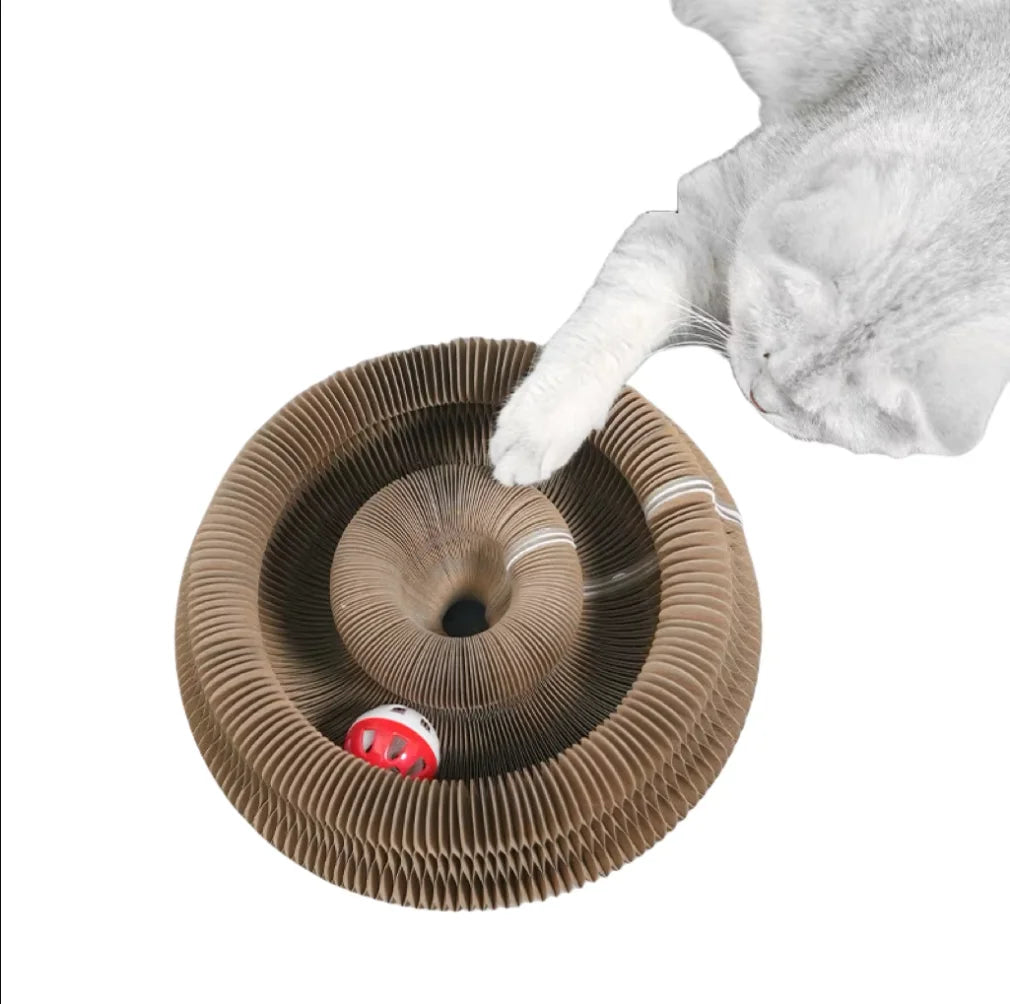 Foldable Magic Organ Cat Scratching Board & Interactive Toy