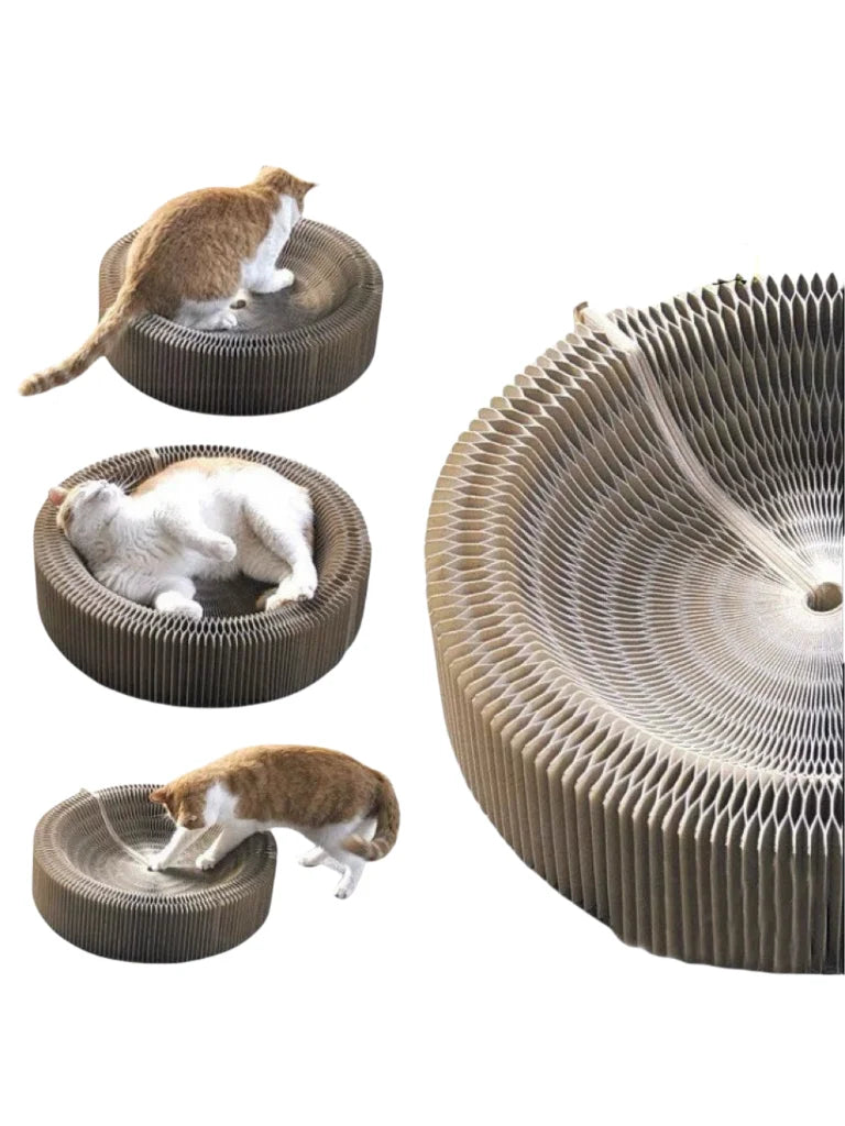 Foldable Magic Organ Cat Scratching Board & Interactive Toy