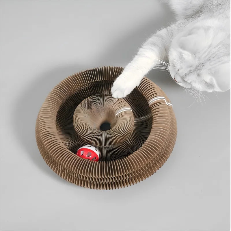 Foldable Magic Organ Cat Scratching Board & Interactive Toy