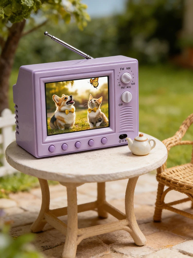 Mini Retro HD Tiny TV - 8GB Storage