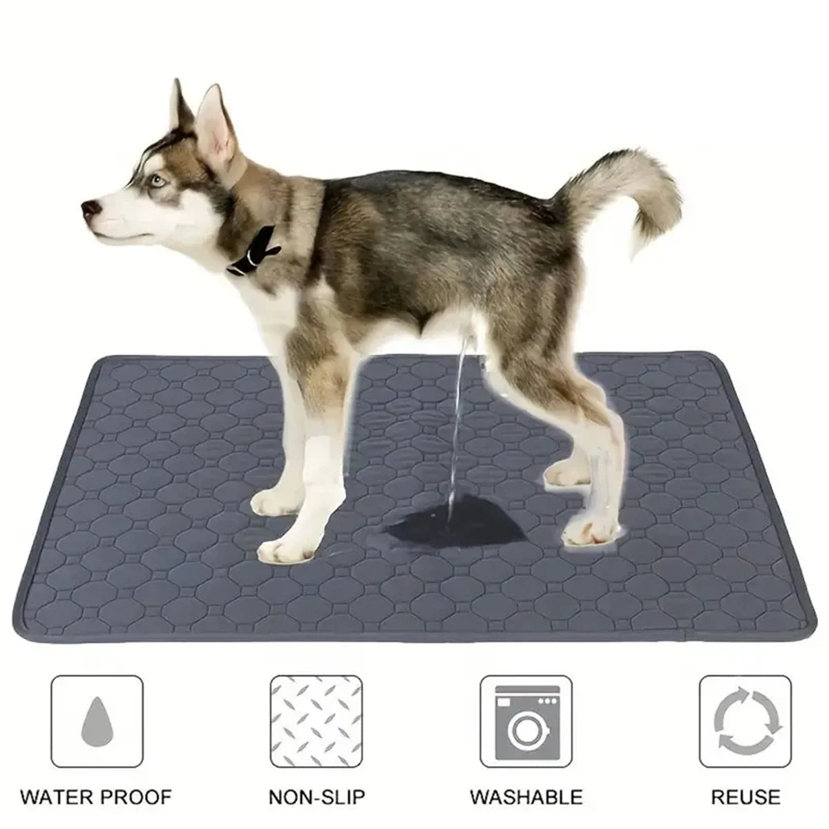 Reusable Washable Dog Pee Pad - Waterproof & Absorbent Training Mat