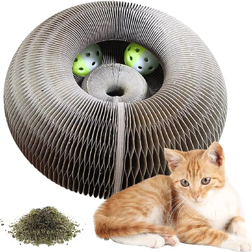 Foldable Magic Organ Cat Scratching Board & Interactive Toy