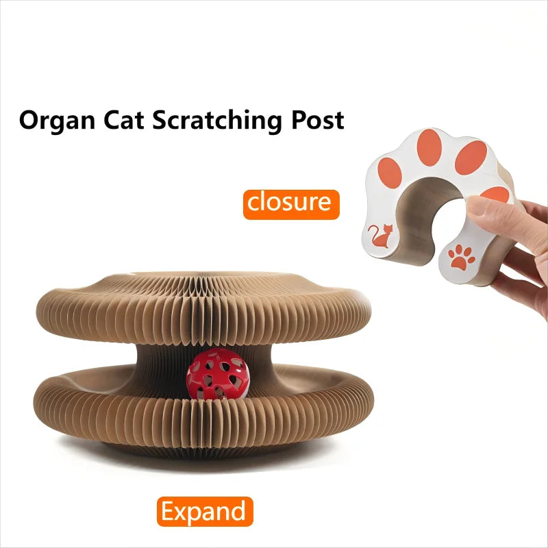 Foldable Magic Organ Cat Scratching Board & Interactive Toy