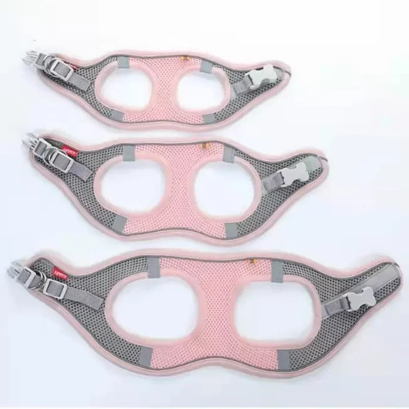 Reflective & Breathable Adjustable Pet Harness Vest with Leash Set