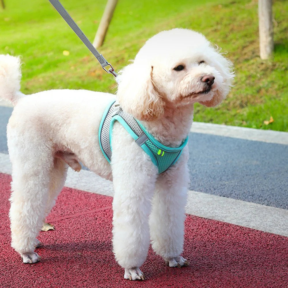 Reflective & Breathable Adjustable Pet Harness Vest with Leash Set