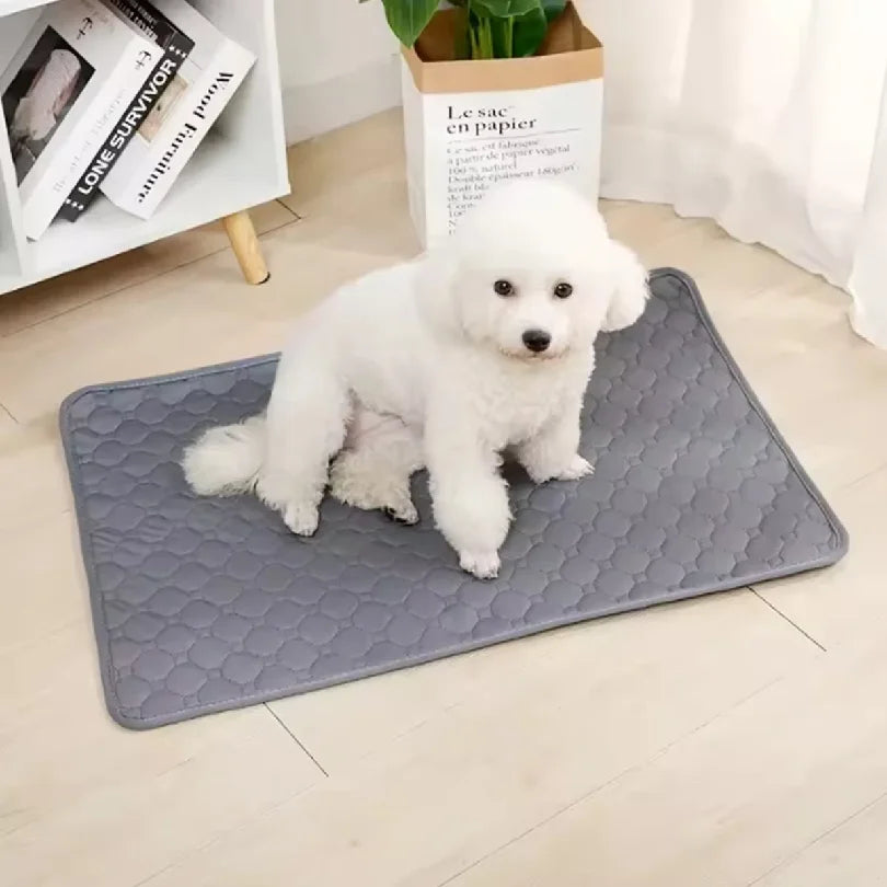Reusable Washable Dog Pee Pad - Waterproof & Absorbent Training Mat