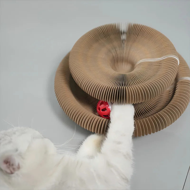Foldable Magic Organ Cat Scratching Board & Interactive Toy