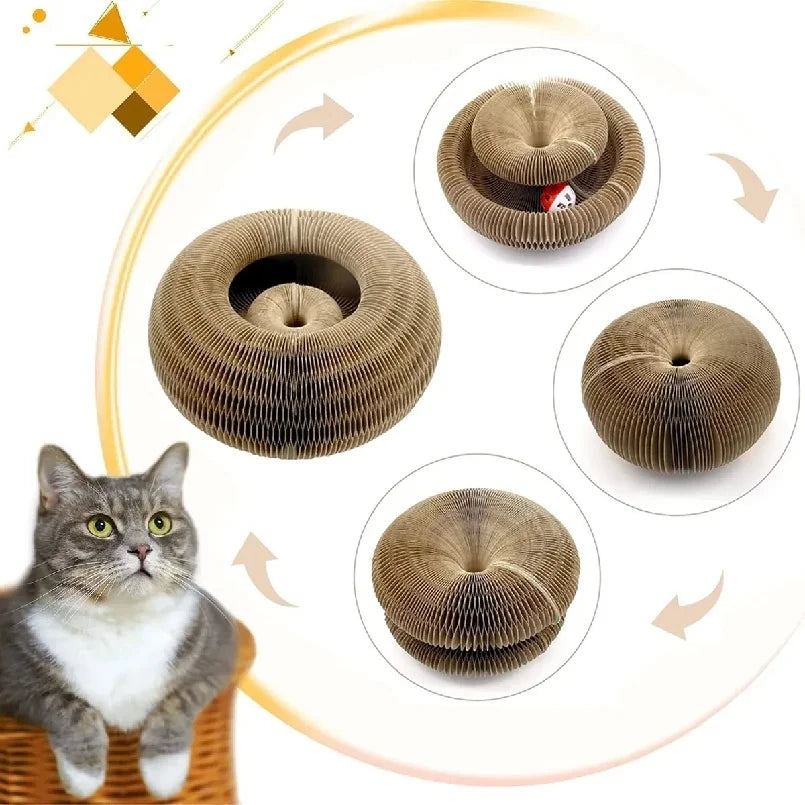 Foldable Magic Organ Cat Scratching Board & Interactive Toy